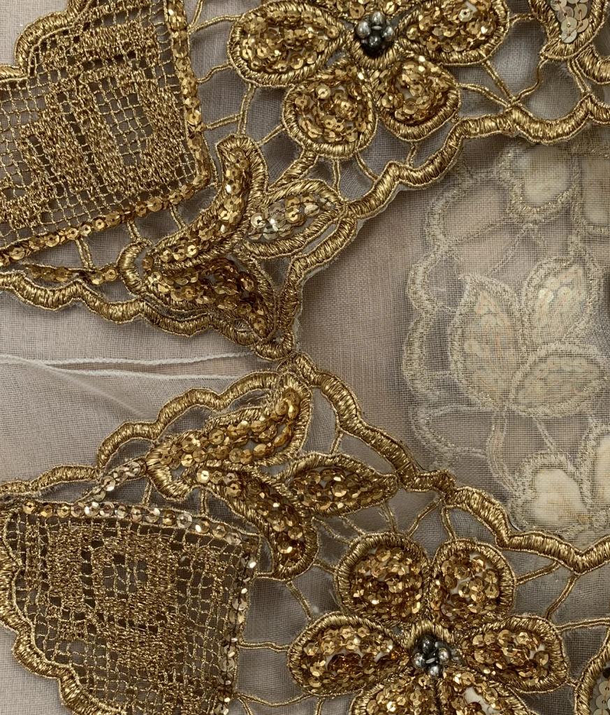 Organza top with golden collar
