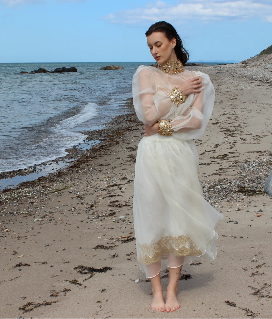 Organza top with golden embroidered neck and cuffs